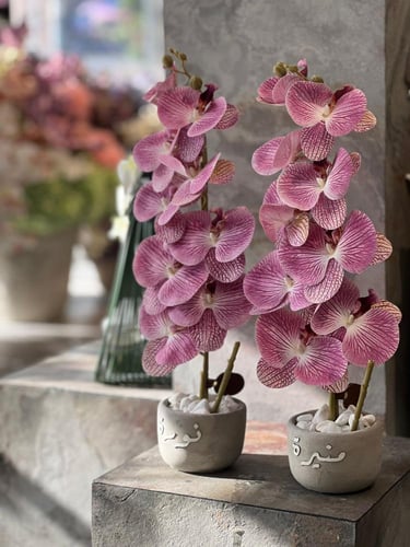 فازة الاسمنت مع ورد الاوركيد