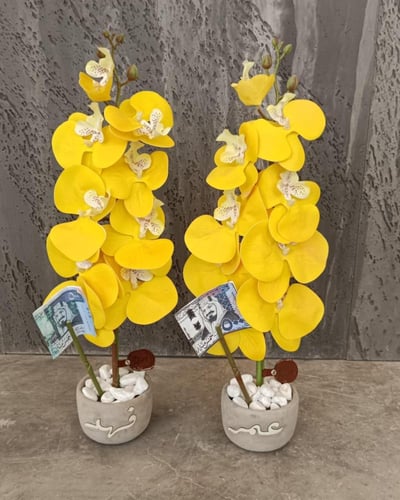 فازة الاسمنت مع ورد الاوركيد