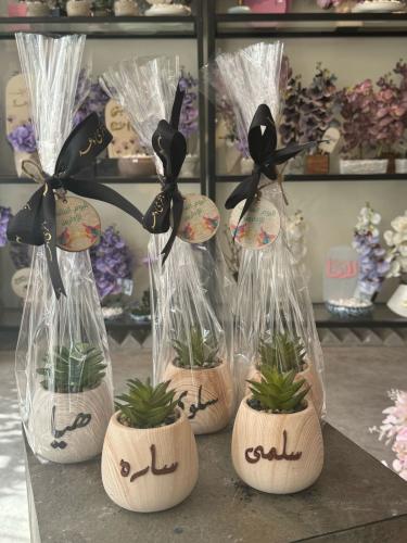 نبتة صناعية واسم جلد مع لوقو