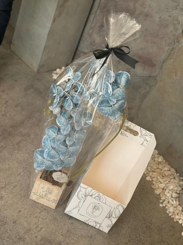 فازة الترافنتو ورد الأوركيد الفاخر