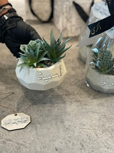 فازة الاسمنت الفاخرة مع نبتة صناعية شامل الكيس