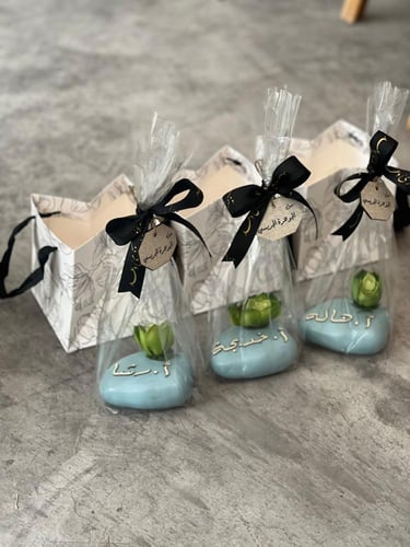 نبتة صناعية مع الكيس