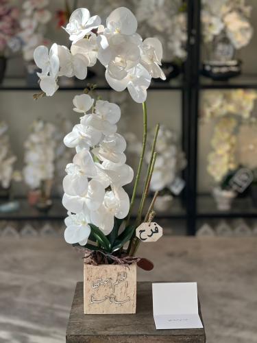 فازة الترافينتو