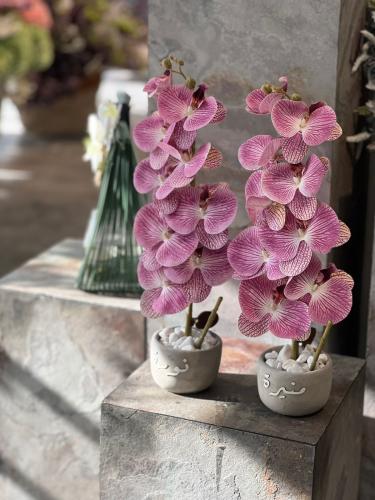 فازة الاسمنت مع ورد الاوركيد