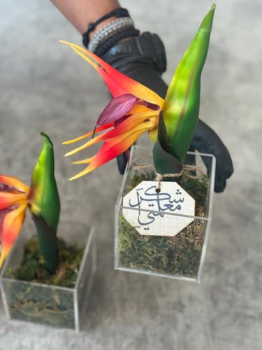 زرعات صناعيه يوم المعلم مع الكيس