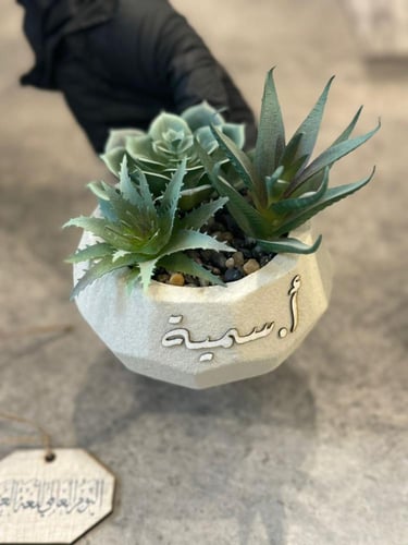 فازة الاسمنت الفاخرة مع نبتة صناعية شامل الكيس