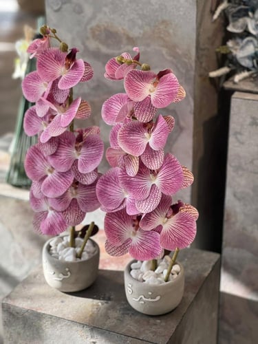 فازة الاسمنت مع ورد الاوركيد