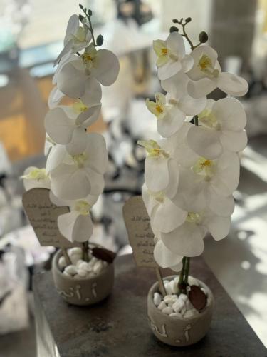 فازة الاسمنت مع ورد الاوركيد شامل اللوقو