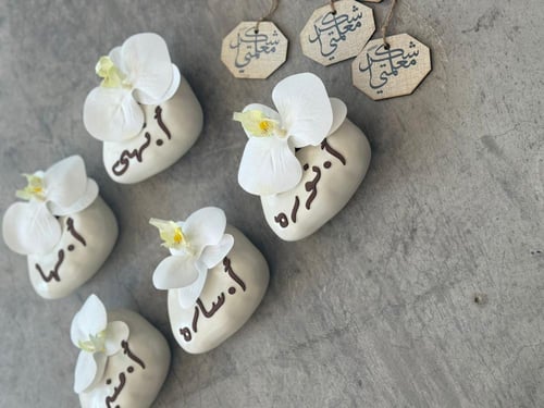 نبته صناعيه شامل الكيس