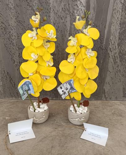 فازة الاسمنت مع ورد الاوركيد