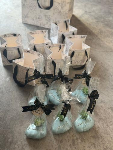 نبتة صناعية مع الكيس