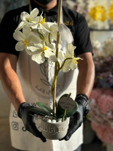 فازة الاسمنت مع ورد الاوركيد الفاخر