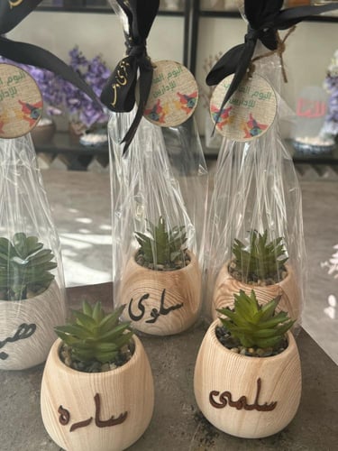 نبتة صناعية واسم جلد مع لوقو