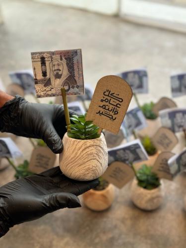 زرعة المعايدة ( صناعي )