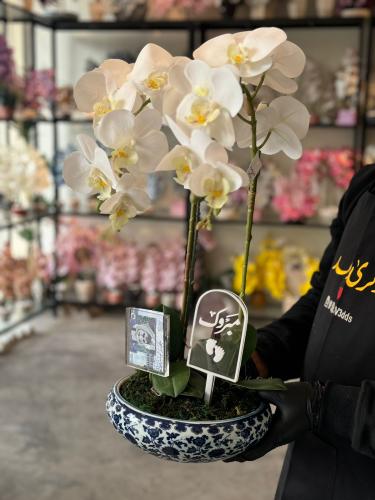 فازة السيراميك مع ورد الاوركيد