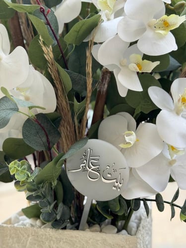 فازه تعتيق امريكي بتنسيق انيق