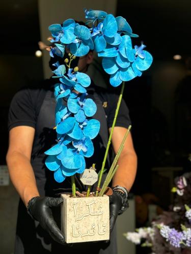 فازة الترافنتو ورد الأوركيد الفاخر