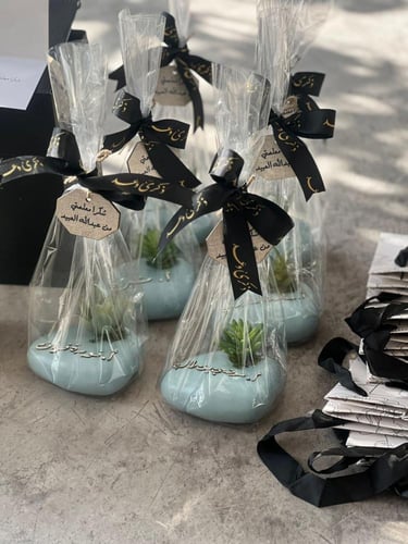 نبتة صناعية مع الكيس