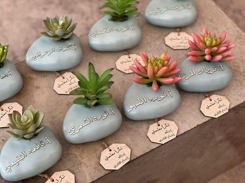 نبتة صناعية مع الكيس