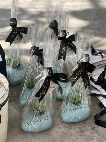 نبتة صناعية مع الكيس