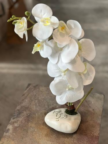 فازة السيراميك مع الاوركيد