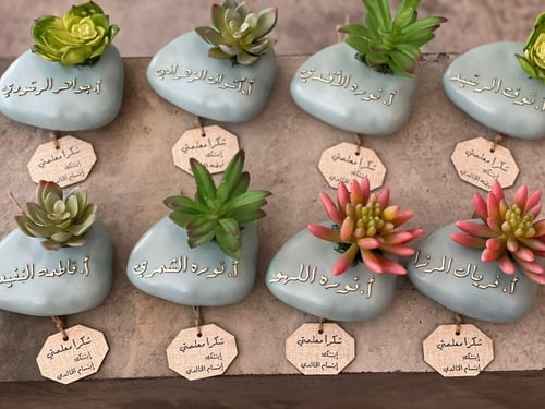 نبتة صناعية مع الكيس