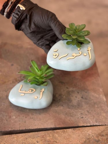 نبتة صناعية مع الكيس