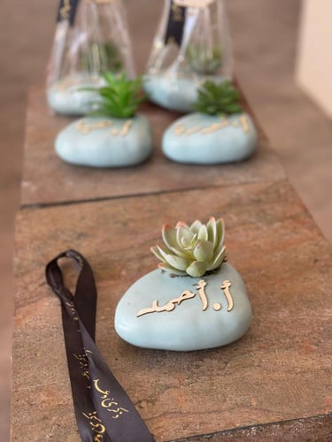 نبتة صناعية مع الكيس