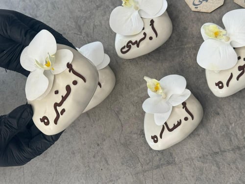 نبته صناعيه شامل الكيس