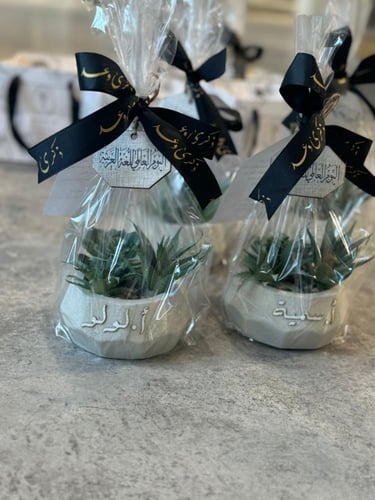 فازة الاسمنت الفاخرة مع نبتة صناعية شامل الكيس