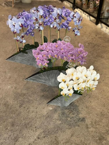 فازة الخزف الحجري مع ورد الاوركيد