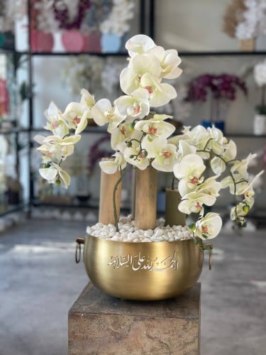 فازة الاوركيد