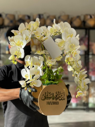 فازة اوركيد