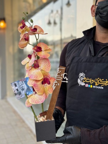 فازة الاوركيد
