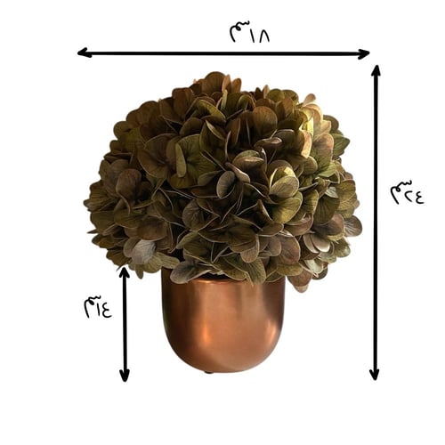 باقه ورد هيدرانجا