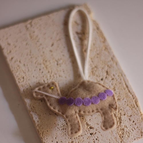 تعليقة سفينة الصحراء(١)