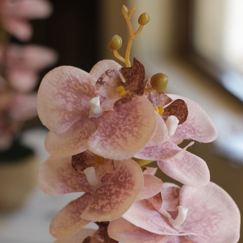 باقه ورد لطيفه(4) من غصن الأوركيد الصناعي