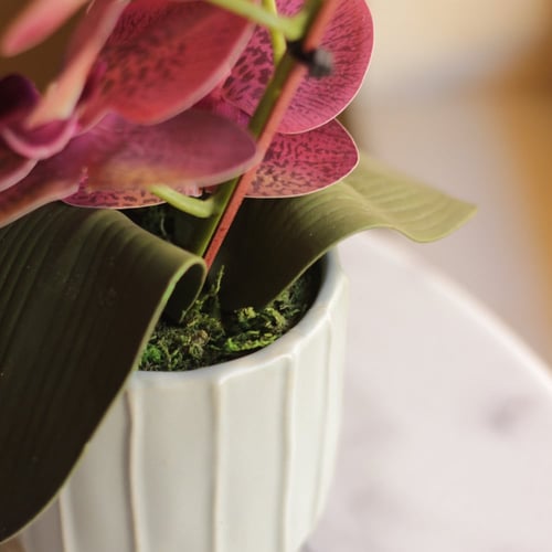 باقه ورد لطيفه(10) من غصن الأوركيد الصناعي والمجفف