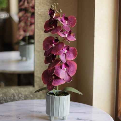 باقه ورد لطيفه(10) من غصن الأوركيد الصناعي والمجفف