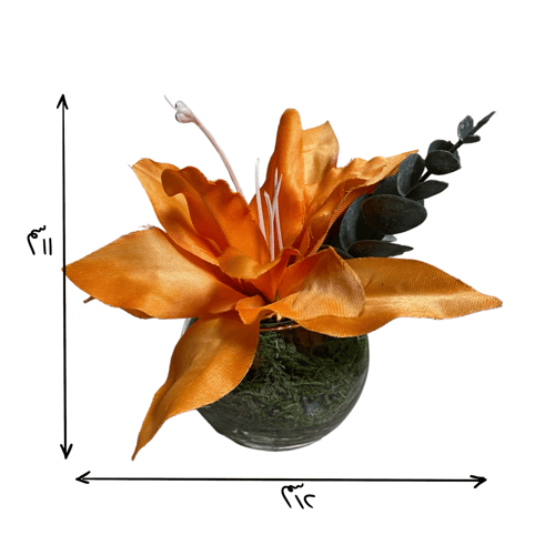 هديه تخرج (٢)