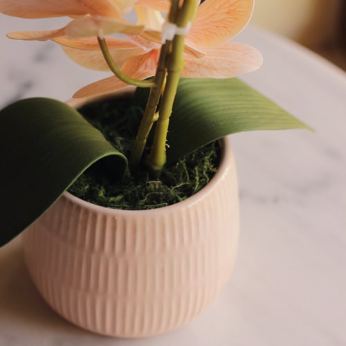 باقه ورد لطيفه(15) من غصن الأوركيد الصناعي والمجفف