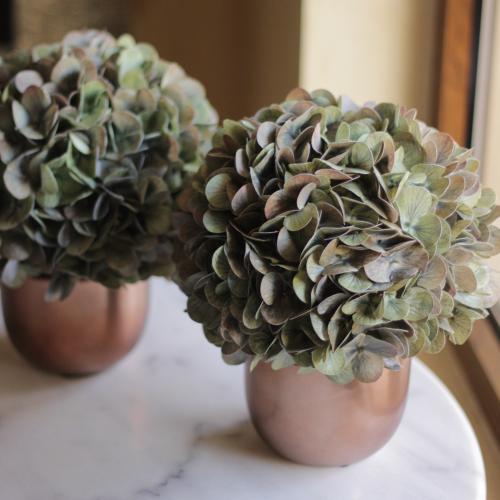 باقه ورد هيدرانجا