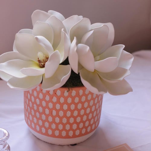 مجموعه فرحتنا