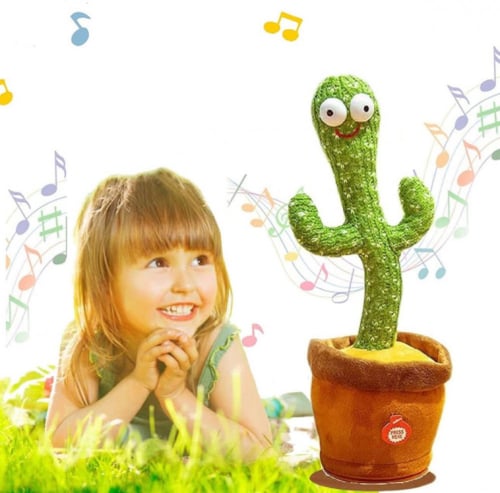 الصبارة الراقصة -اعادة شحن