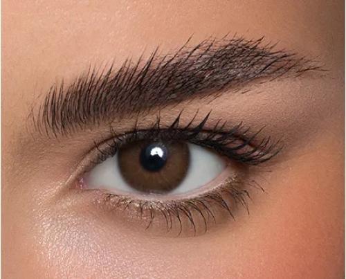 عدسات انستازيا اديكت نوكسيولا باللون البني