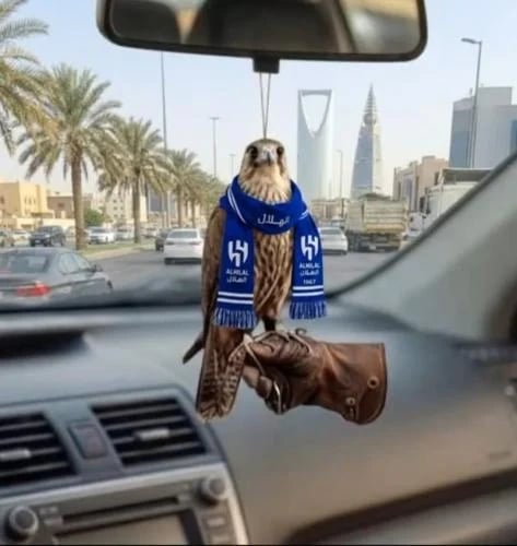 تعليقه صقر الزعيم