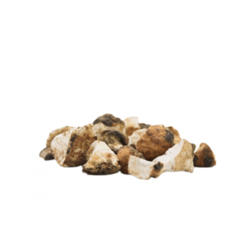 البكبوكة حبات تالغودة المغربية للتسمين