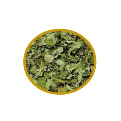 عشبة المورينجا