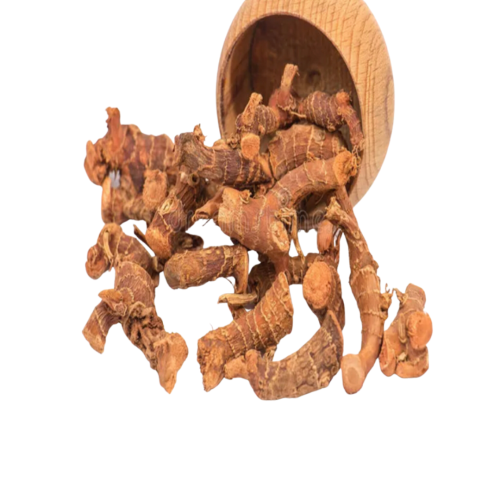 خولنجان صغير