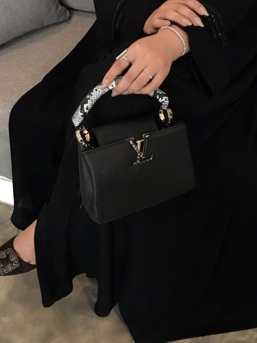 LV bag